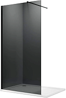 Parly Душевая перегородка T100G