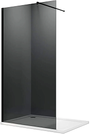 Parly Душевая перегородка T100G – фотография-1