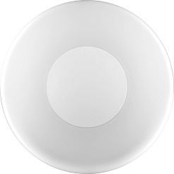 Feron Светодиодный управляемый светильник AL699 26W – фотография-3