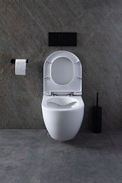 Allen Brau Унитаз с инсталляцией Reality 4.32006.20/8.9466.0.000.000.1 белый глянец – фотография-13