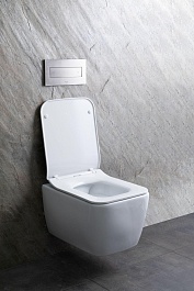 Allen Brau Унитаз подвесной Liberty 4.33007.20 белый с крышкой 4.33008.20 – фотография-26