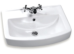 Rosa Раковина Ока – фотография-2