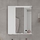 Volna Зеркальный шкаф Lake 60 L белый – картинка-13