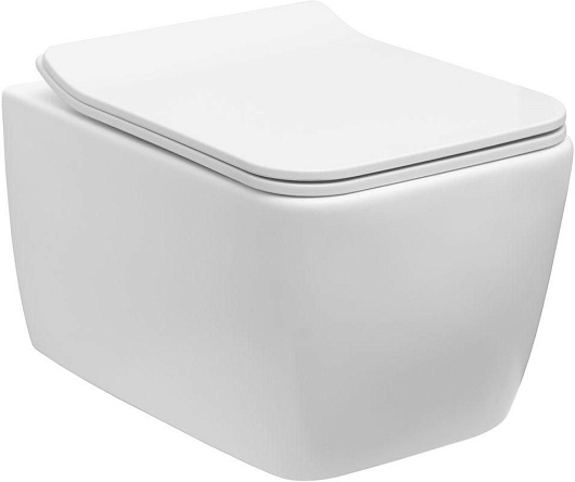 Allen Brau Унитаз подвесной Liberty 4.33007.21 белый матовый с крышкой 4.33008.21 – фото-1