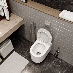 Ceruttispa Унитаз подвесной Tanaro Aria CT8910 – фотография-5