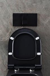 Allen Brau Чаша подвесного унитаза Priority 4.31001.31 чёрный матовый – фотография-9