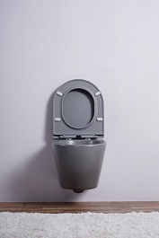 Esbano Унитаз Azalea подвесной безободковый серый матовый – фотография-4