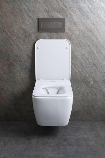 Allen Brau Чаша подвесного унитаза Liberty 4.33007.21 белый матовый – фотография-24