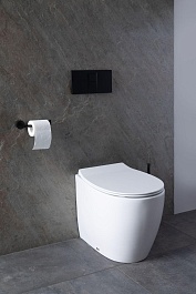 Allen Brau Унитаз приставной Fantasy 4.11007.20 белый глянец – фотография-32