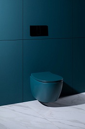 Allen Brau Унитаз подвесной Fantasy 4.11004.PT петроль с крышкой 4.11005.PT – фотография-13