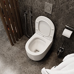 Ceruttispa Унитаз подвесной Oglio Aria MW CT9237 белый матовый – фотография-5