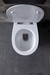 Allen Brau Унитаз приставной Fantasy 4.11007.20 белый глянец – фотография-33