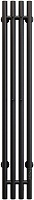 Aringa Полотенцесушитель электрический Токио 120x15 AR03016BL вертикальный черный