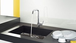Hansgrohe Смеситель Focus 31820000 для кухонной мойки – фотография-2