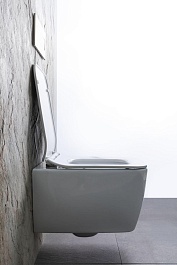 Allen Brau Унитаз подвесной Liberty 4.33007.20 белый с крышкой 4.33008.20 – фотография-23