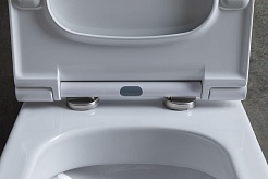 Allen Brau Унитаз напольный Priority 4.31003.20 белый – фотография-22