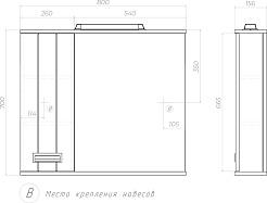Vigo Зеркальный шкаф Diana 100 – фотография-8