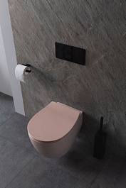 Allen Brau Чаша подвесного унитаза Fantasy 4.11004.SM розовый – фотография-6