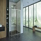 Alex Baitler Душевая дверь в нишу AB71C100 – фотография-5