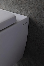 Allen Brau Унитаз с инсталляцией Liberty 4.33004.20/8.9466.0.000.000.1 белый глянец – фотография-13