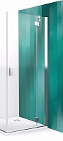Roltechnik Душевая дверь HBO1/1100 распашная