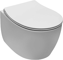 Allen Brau Чаша подвесного унитаза Fantasy 4.11004.21 белый матовый