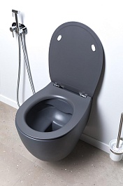 Allen Brau Унитаз подвесной Fantasy 4.11004.AN антрацит с крышкой 4.11005.AN – фотография-18