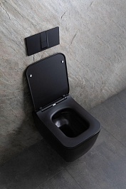 Allen Brau Унитаз подвесной Liberty 4.33007.31 чёрный матовый с крышкой 4.33008.31 – фотография-26