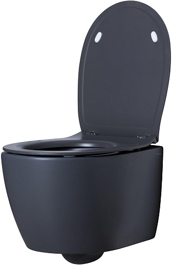 Allen Brau Чаша подвесного унитаза Fantasy 4.11004.AN антрацит – картинка-9