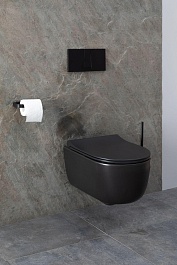 Allen Brau Унитаз подвесной Priority 4.31002.31 чёрный матовый с крышкой 4.31004.31 – фотография-21