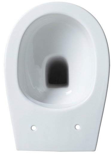 Allen Brau Унитаз приставной Fantasy 4.11007.20 белый глянец – картинка-17