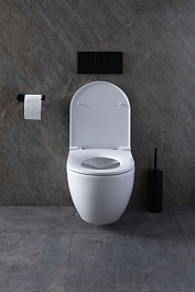 Allen Brau Унитаз с инсталляцией Reality 4.32006.20/8.9466.0.000.000.1 белый глянец – фотография-12