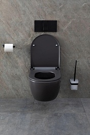 Allen Brau Унитаз подвесной Priority 4.31001.AN антрацит с крышкой 4.31004.AN – фотография-23