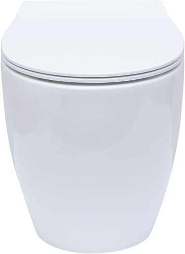 Allen Brau Унитаз приставной Fantasy 4.11007.20 белый глянец – картинка-15