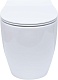 Allen Brau Унитаз приставной Fantasy 4.11007.20 белый глянец – картинка-52