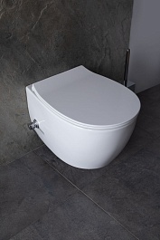 Allen Brau Унитаз подвесной Fantasy 4.11HC1.20 белый глянец с крышкой 4.11005.20 – фотография-15