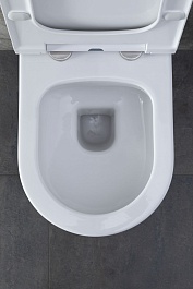 Allen Brau Унитаз с инсталляцией Priority 00301296/8.9466.0.000.000.1 белый глянец – фотография-20