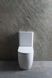 Allen Brau Чаша напольного унитаза Priority 4.31003.20 белый – фотография-15