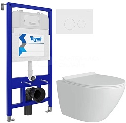 Teymi Унитаз подвесной Lina Pro T40112 с инсталляцией Aina T70011 с кнопкой Lina T70019WM – фотография-1