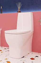 Sanita Luxe Унитаз-компакт Infinity Rimless с микролифтом безободковый – фотография-6