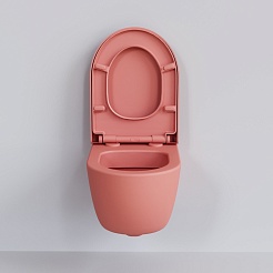 Ambassador Сиденье для унитаза Abner розовое матовое – фотография-4