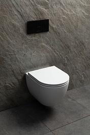 Allen Brau Унитаз подвесной Priority 4.31008.20 белый глянец с крышкой 4.31010.20 – фотография-13