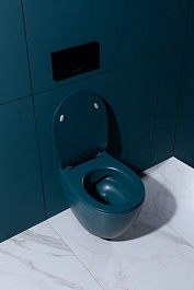 Allen Brau Чаша подвесного унитаза Fantasy 4.11004.PT петроль – фотография-15