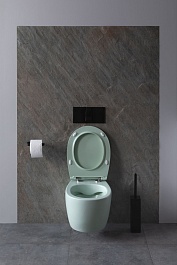 Allen Brau Чаша подвесного унитаза Fantasy 4.11004.MT мятный – фотография-3