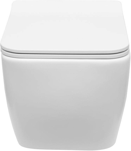 Allen Brau Унитаз подвесной Liberty 4.33007.21 белый матовый с крышкой 4.33008.21 – фотография-2