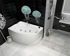 Triton Фронтальный экран Николь R – фотография-2