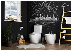 Aquanet Чаша унитаза Rimless Cetus-C1 BL-102N-TPT – фотография-7