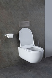 Allen Brau Унитаз с инсталляцией Priority 4.31002.20/8.9466.0.000.000.1 белый глянец – фотография-13