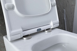 Allen Brau Унитаз с инсталляцией Priority 4.31002.20/8.9466.0.000.000.1 белый глянец – фотография-9