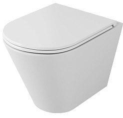 Owl 1975 Унитаз безободковый Vind Ruta-H с сиденьем DP микролифт – фотография-1